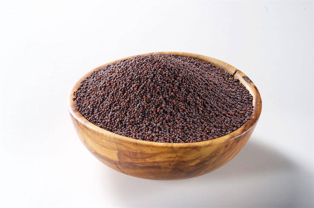 Семена черной горчицы – Фактория-Агро