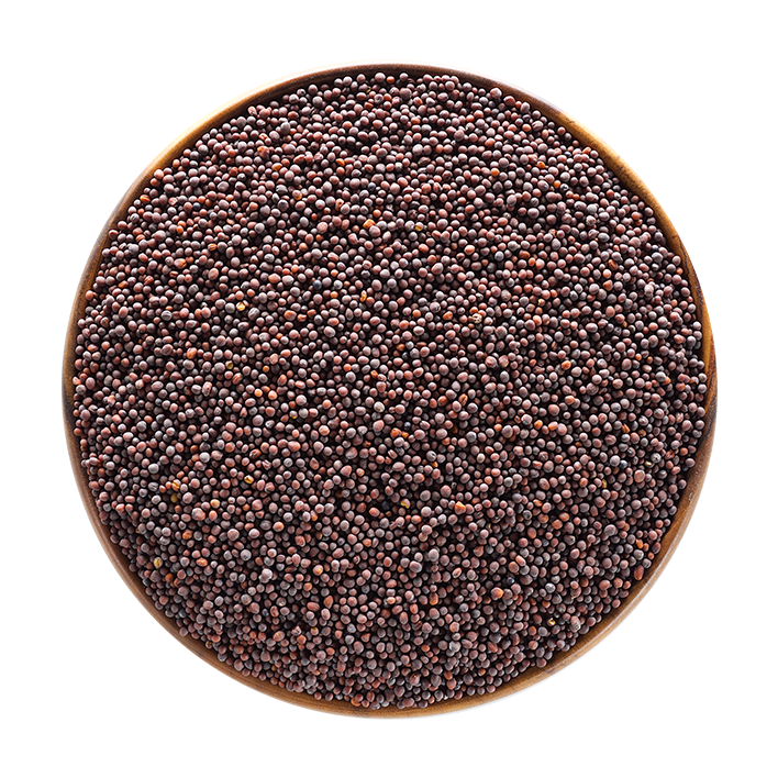 Seeds – Factoria Agro