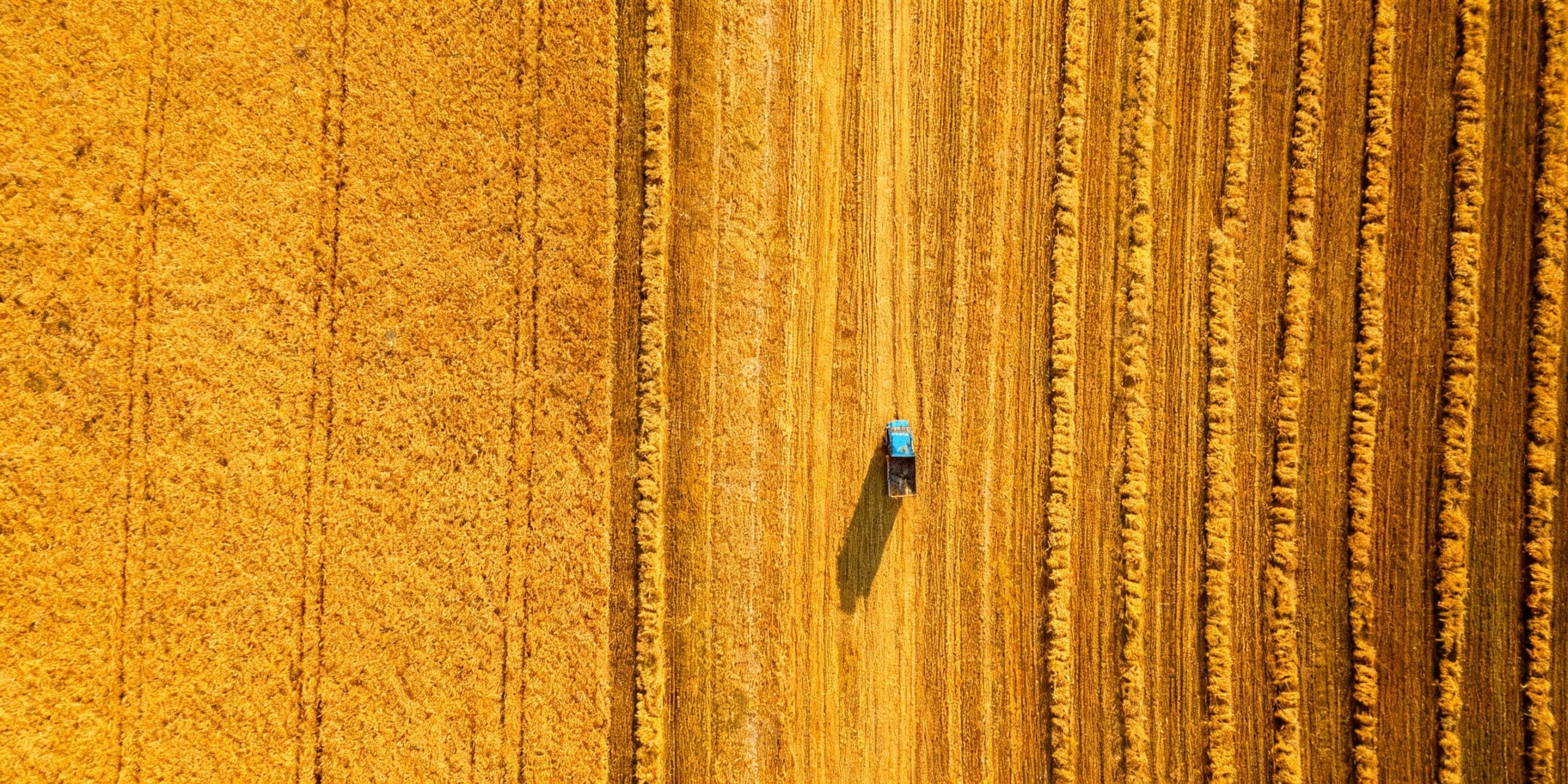 Key Food Safety Certifications Achieved