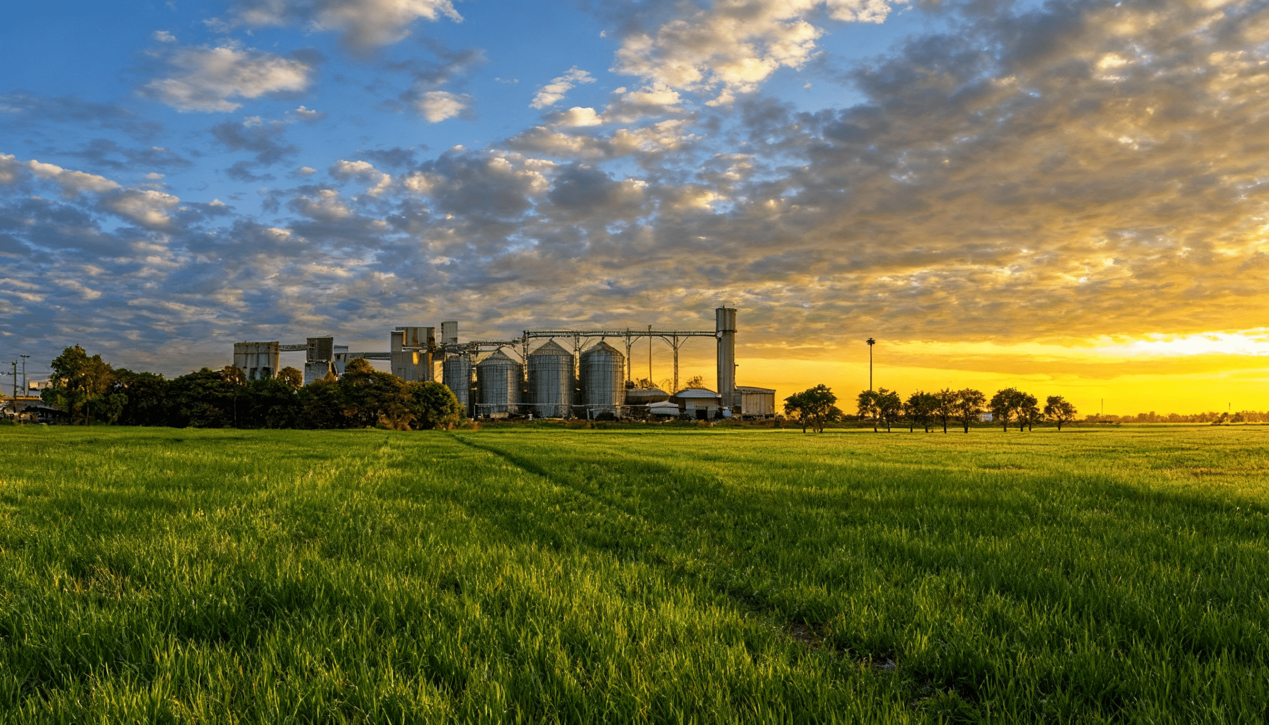  Collaboration with EBRD