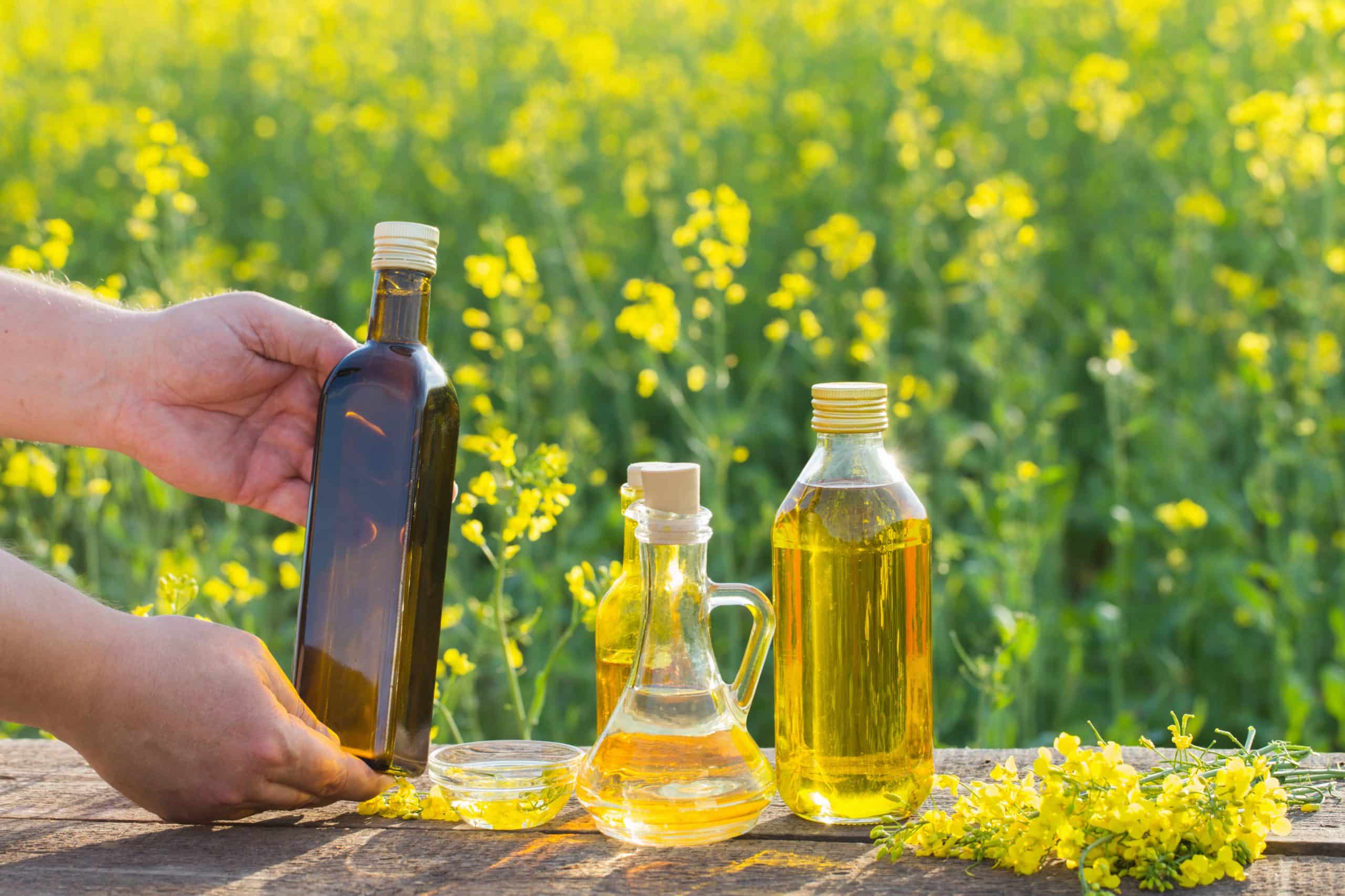 Mustard Essential Oil Extraction Technology Introduced